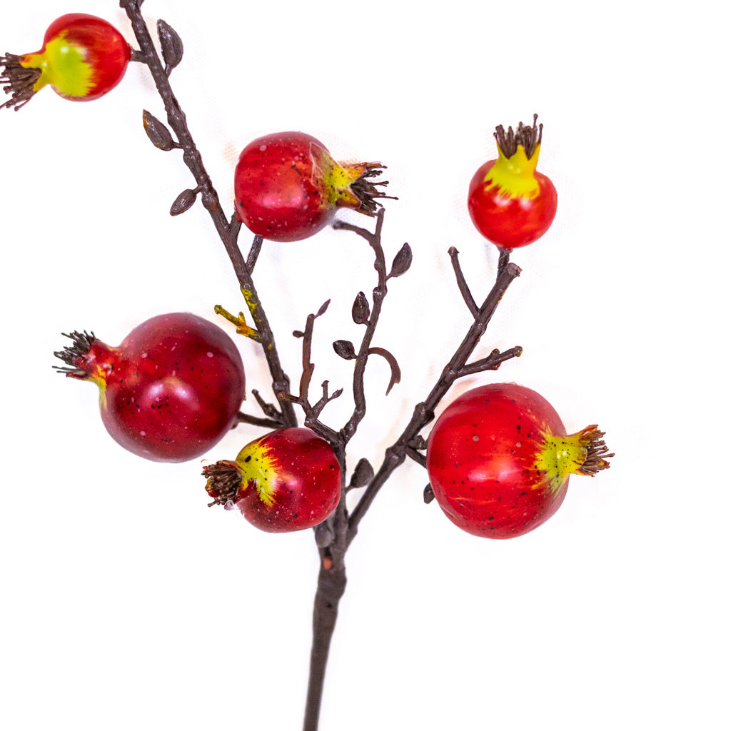 Pomegranate Red Pick