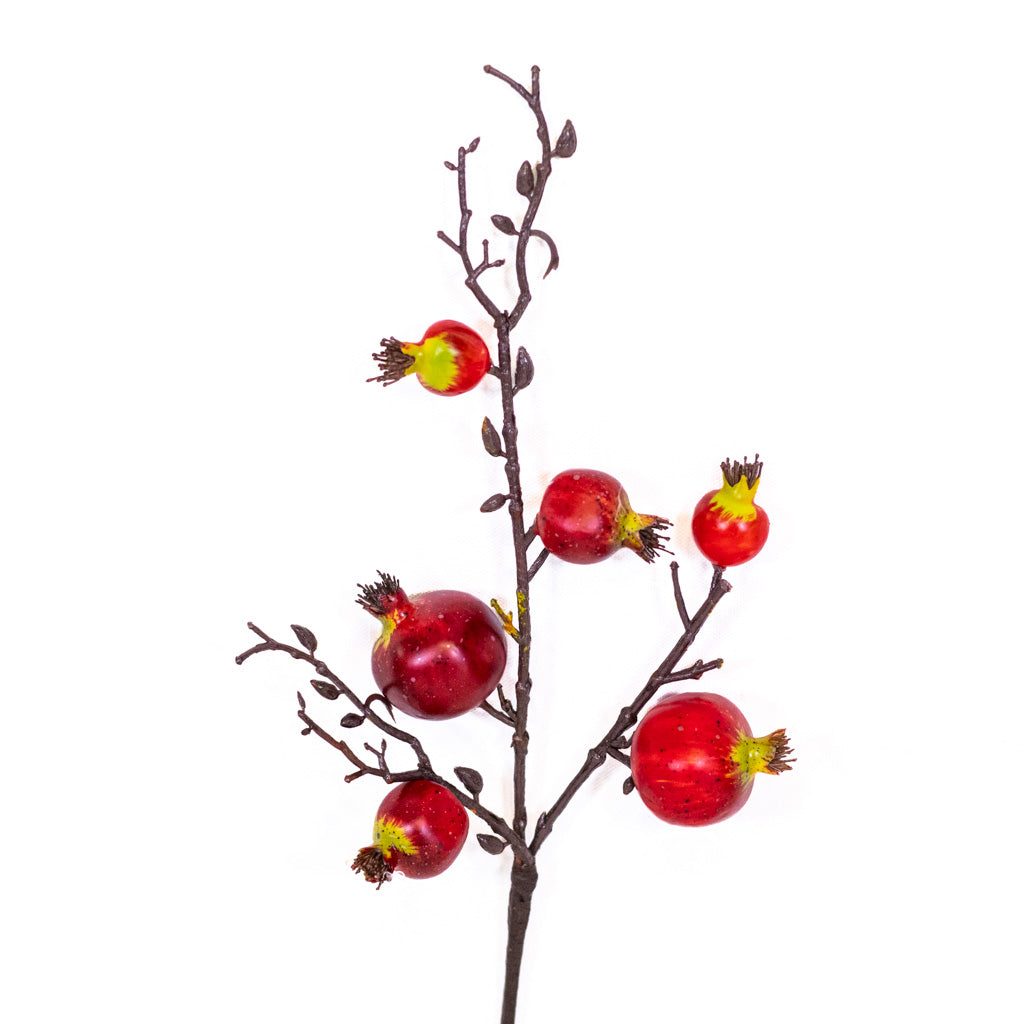 Pomegranate Red Pick