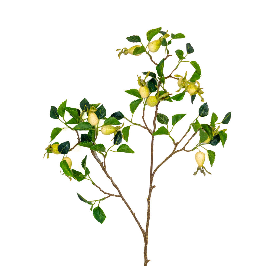 Cream Large Rose Hip Spray
