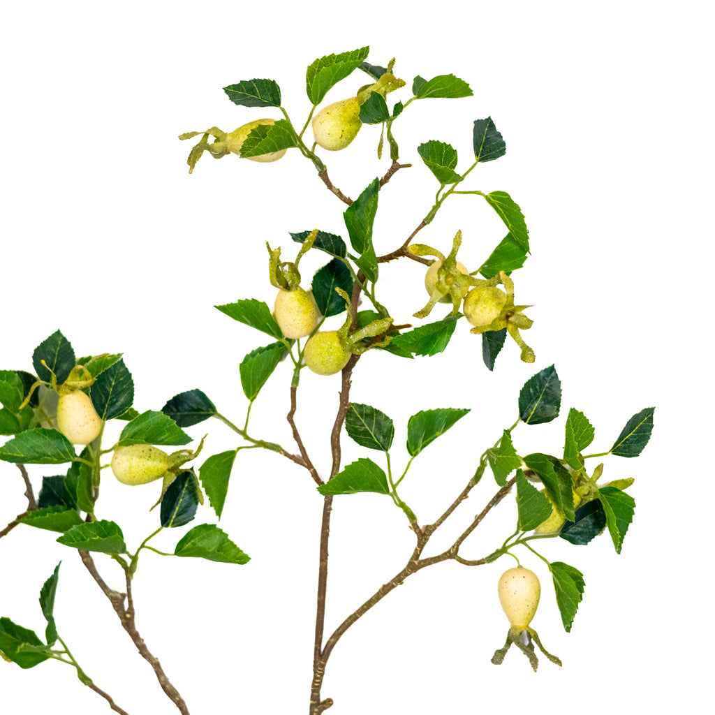 Cream Large Rose Hip Spray