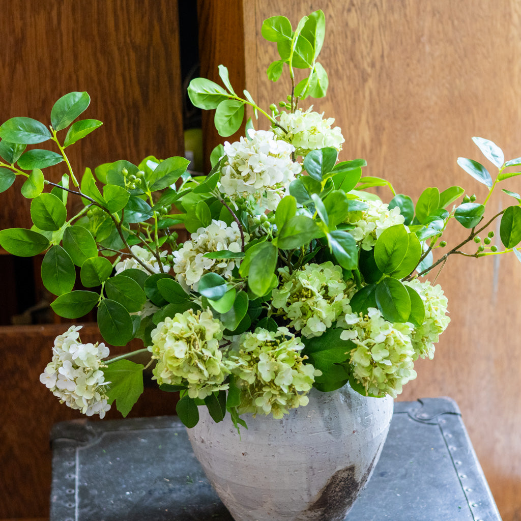 Viburnum Grand Bouquet Drop In