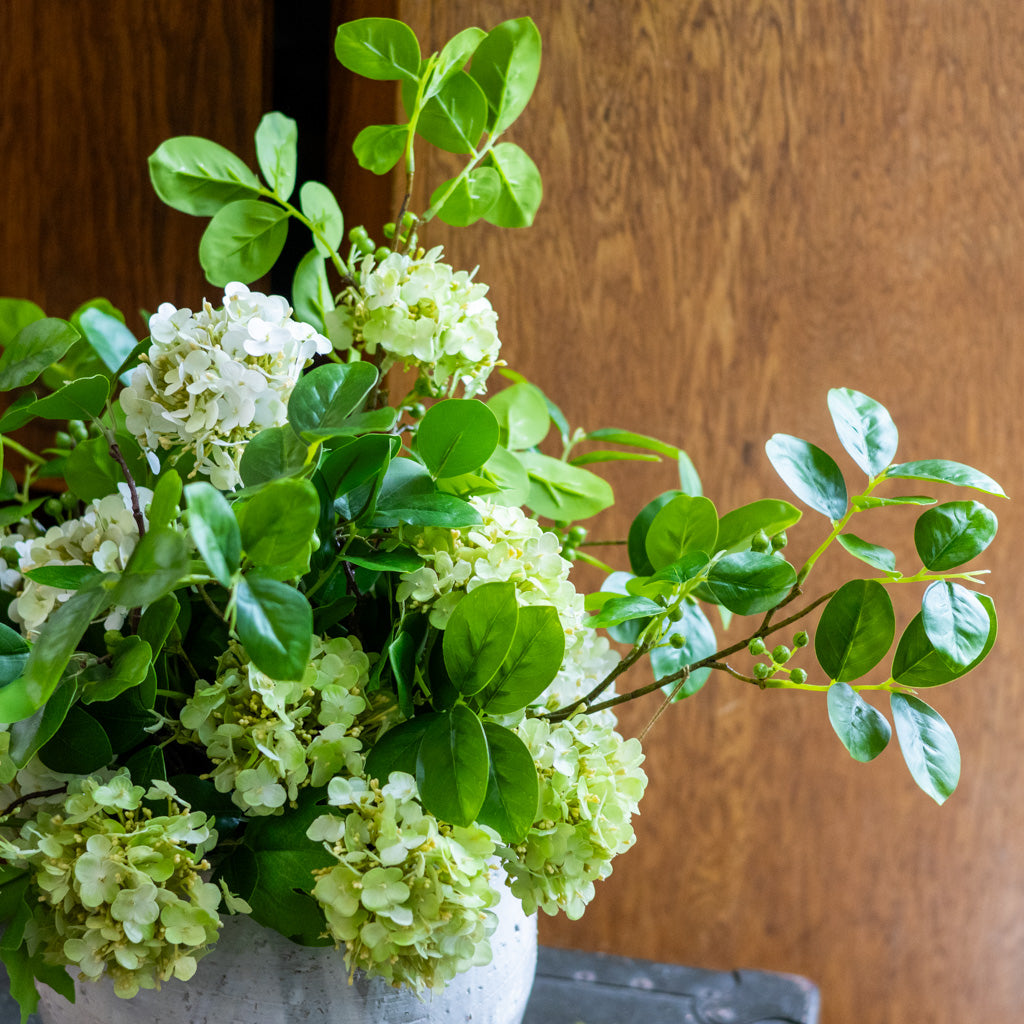 Viburnum Grand Bouquet Drop In