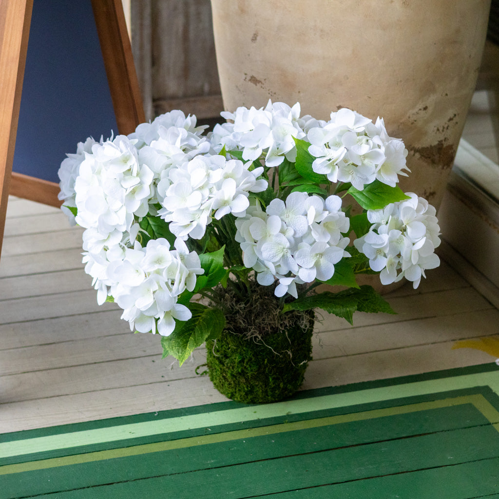 Triple White Hydrangea Plant Drop In
