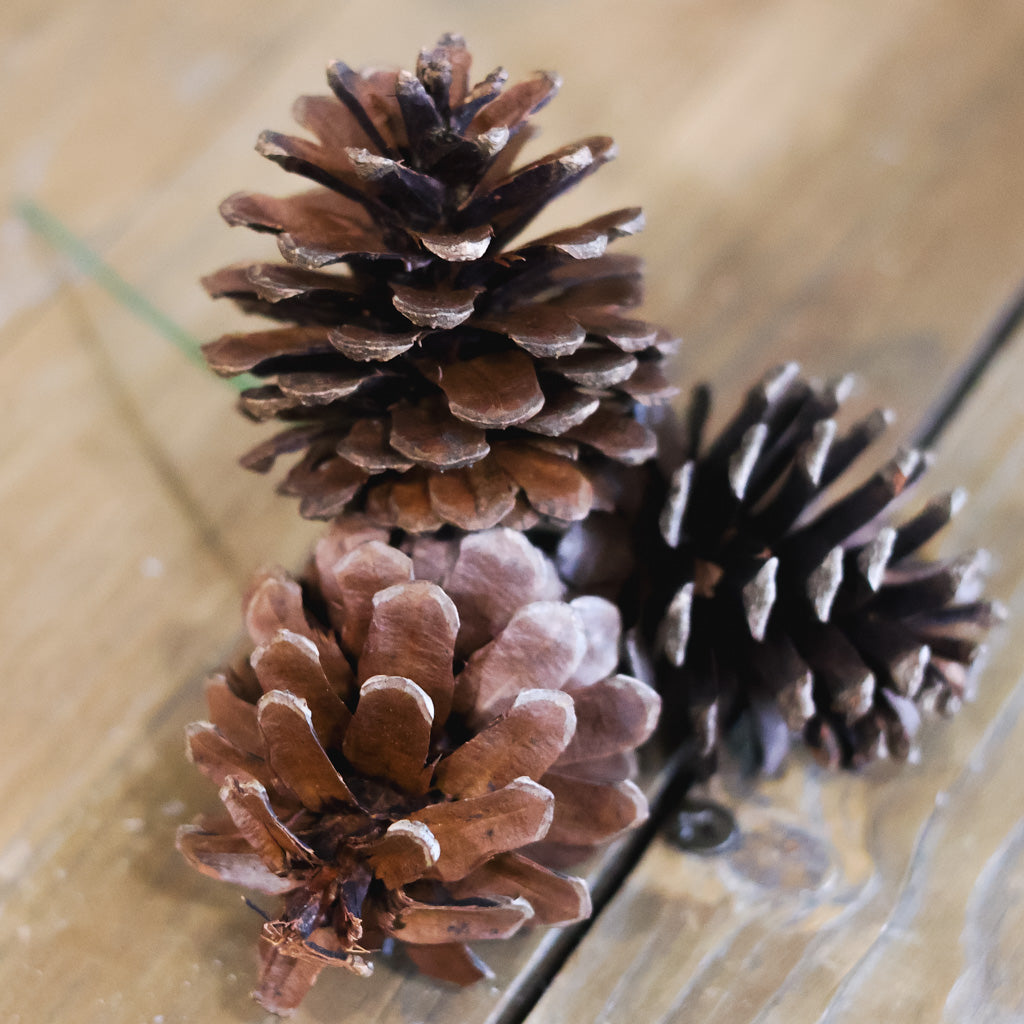 Triple Pine Cone Lacquer Pick