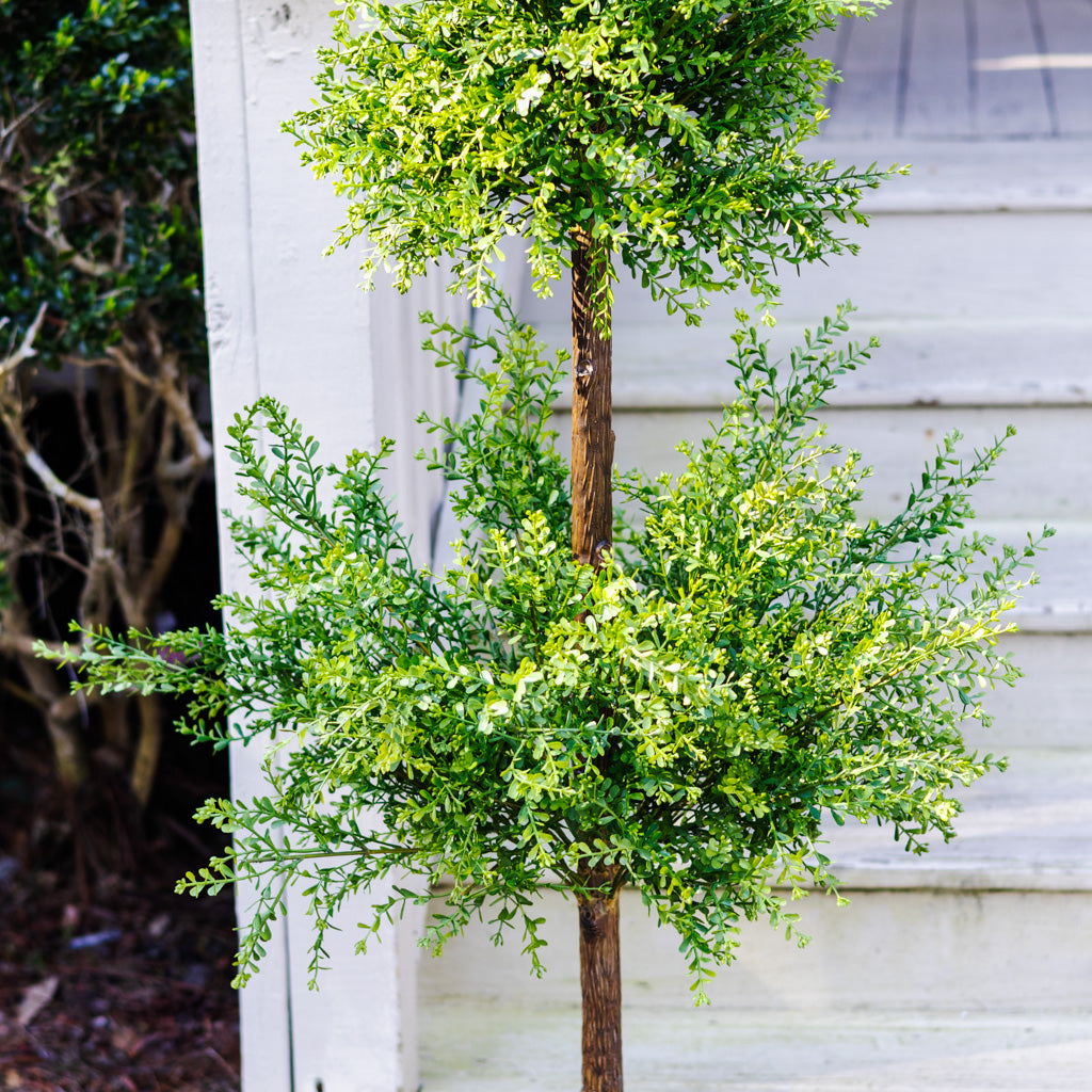 Myrtle Triple Ball Topiary