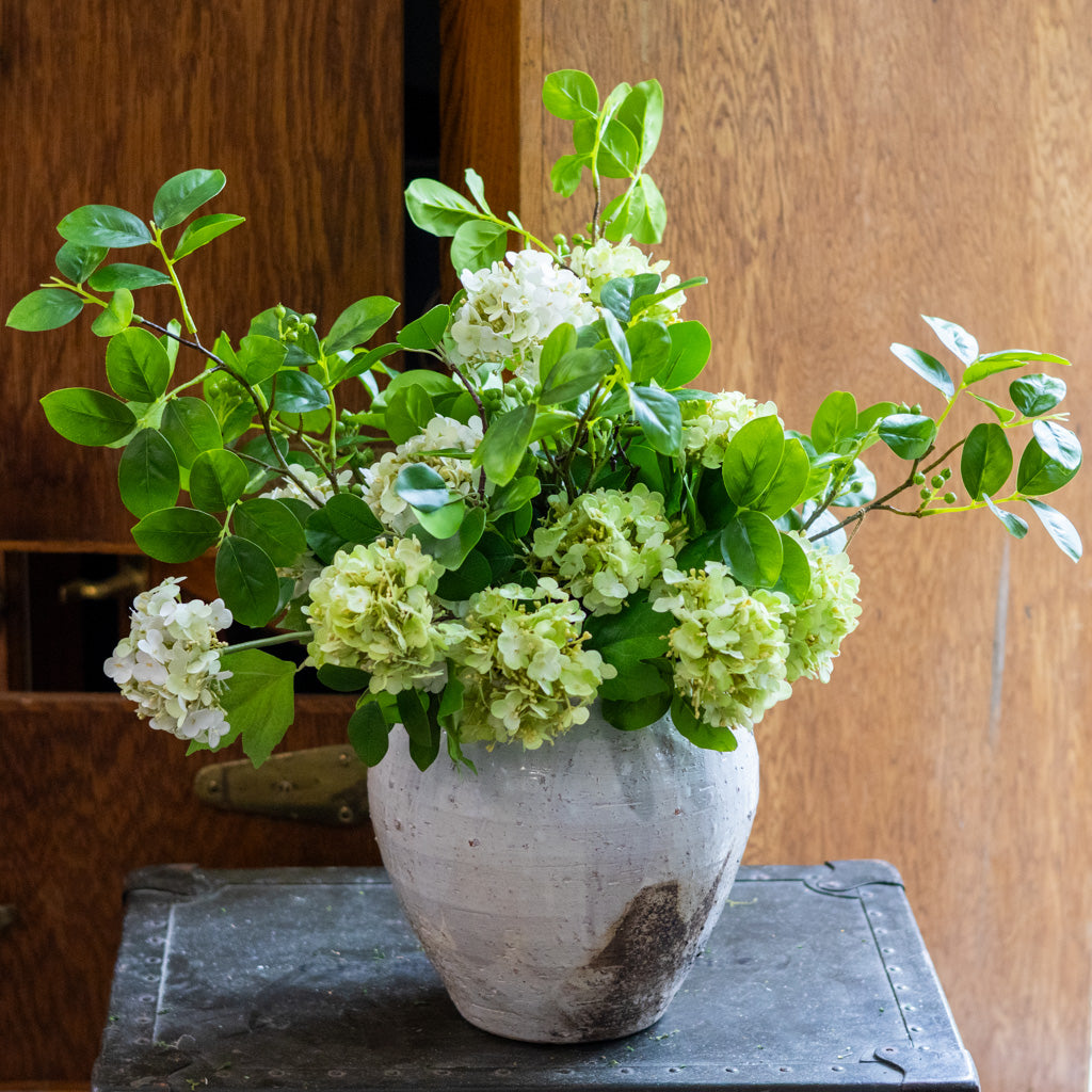 Viburnum Grand Bouquet Drop In