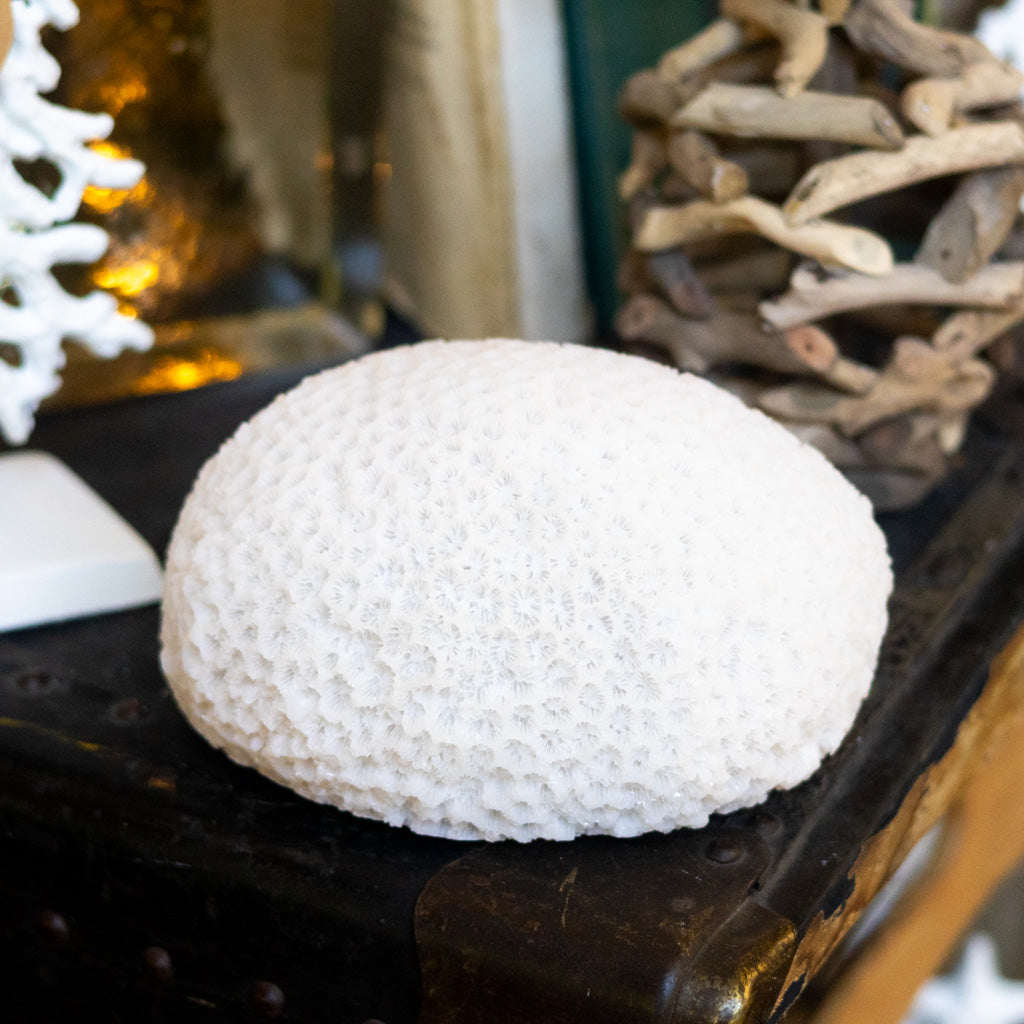 Resin LED Indoor/Outdoor Coral Shaped White Lamp