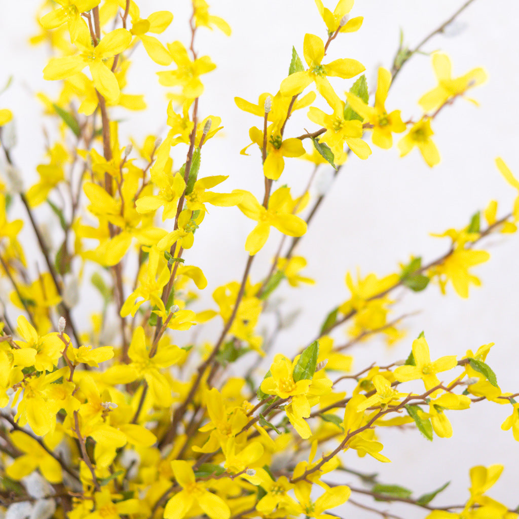 Forsythia Bouquet Drop In