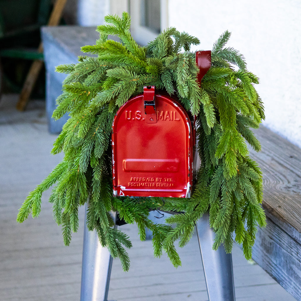 3 ft. Alpine Center Swag