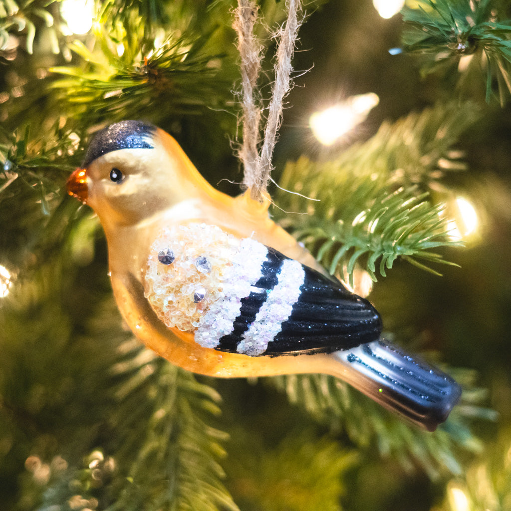 Box of Six Glass Bird Ornaments