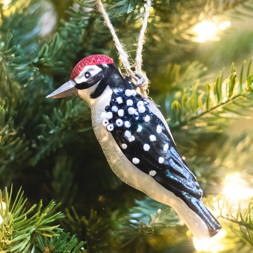 Box of Six Glass Bird Ornaments