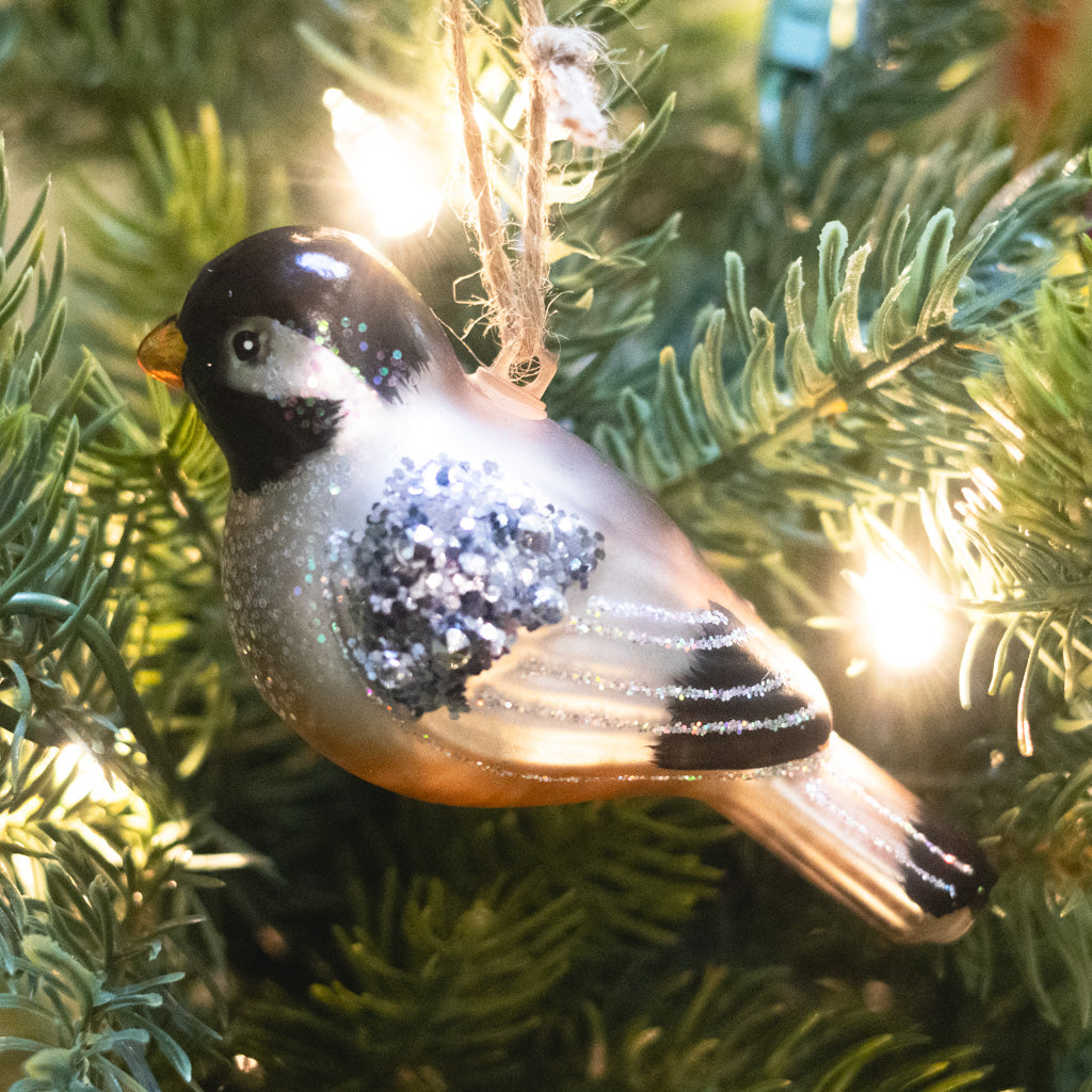 Box of Six Glass Bird Ornaments
