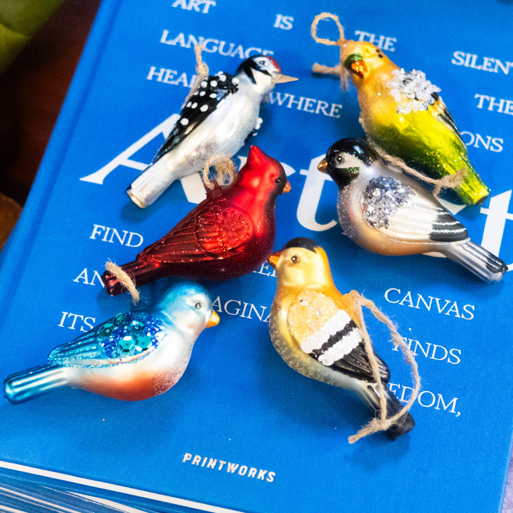 Box of Six Glass Bird Ornaments