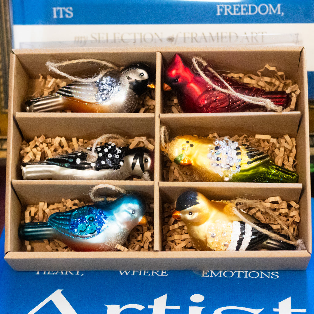 Box of Six Glass Bird Ornaments