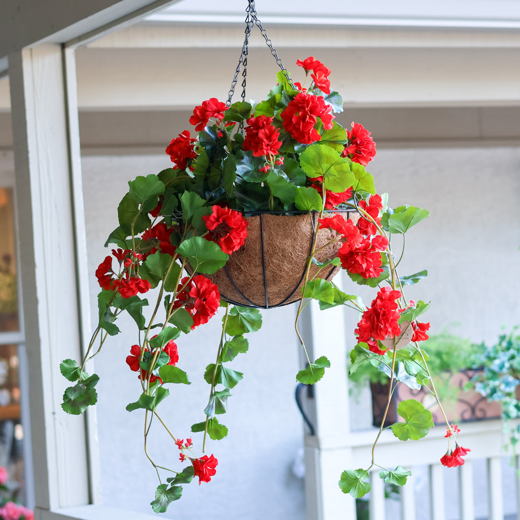 Hanging Red Geranium Hanging Basket UV Protection