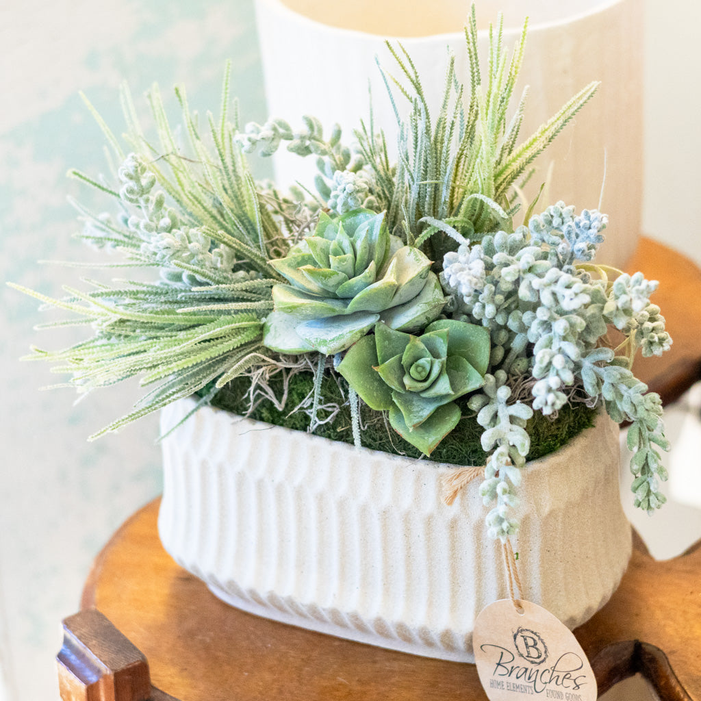 Small Sedum in Rectangular Moss Pot