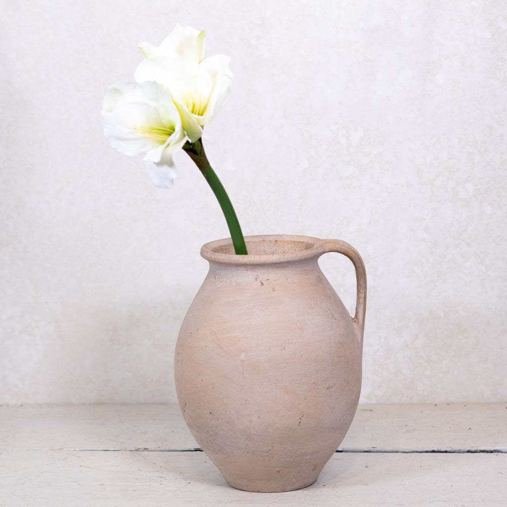 White Amaryllis Stem with Two Blooms and Bud