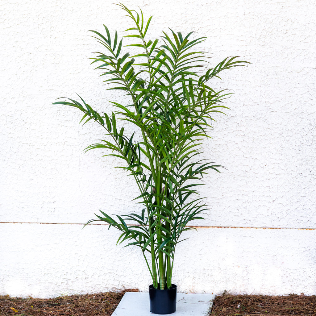 82.5" Kentia Palm Tree in Pot