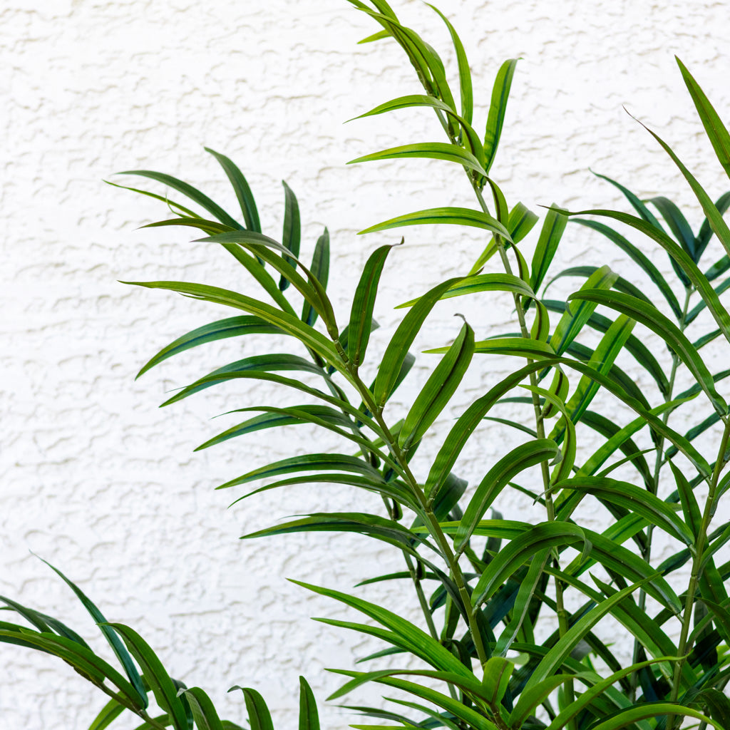 82.5" Kentia Palm Tree in Pot