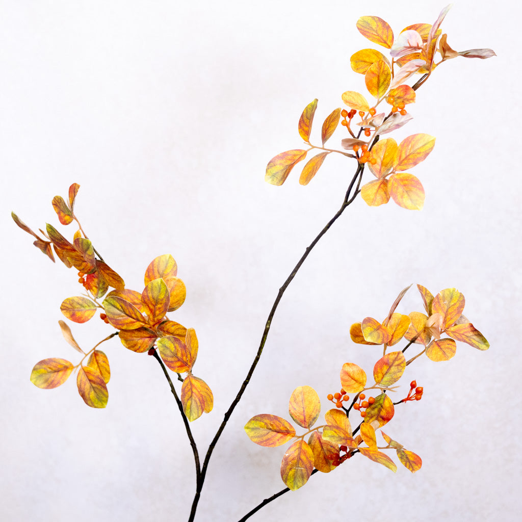 Myrtle Leaf with Berries Orange Green Spray