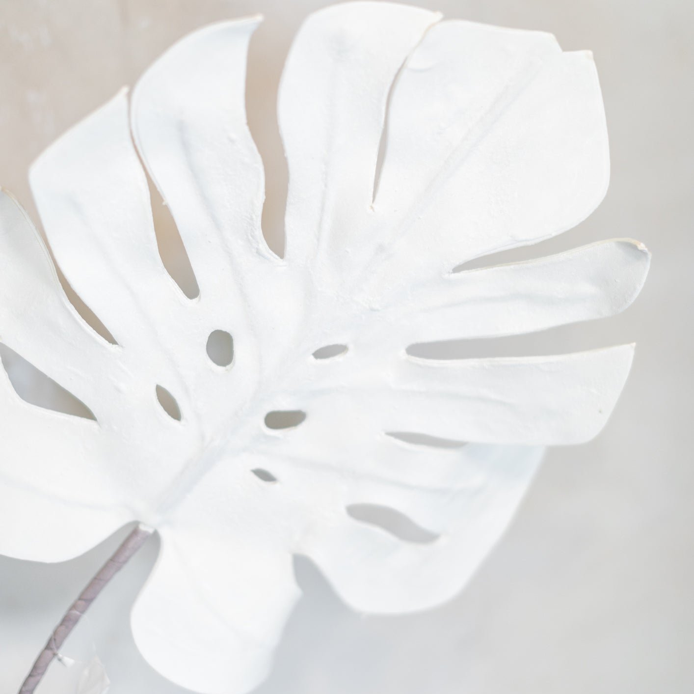 Foam White Monstera Leaf