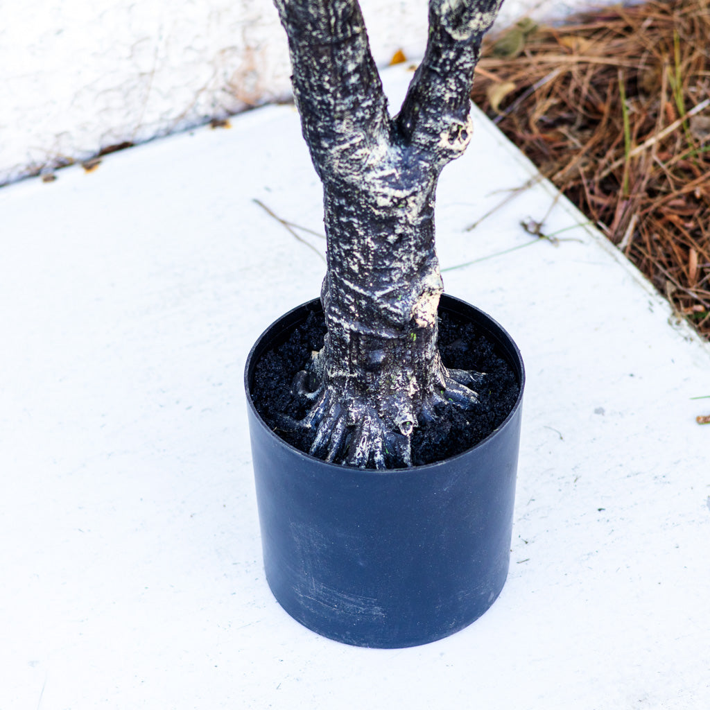 72" Fiddle Leaf Tree in Pot
