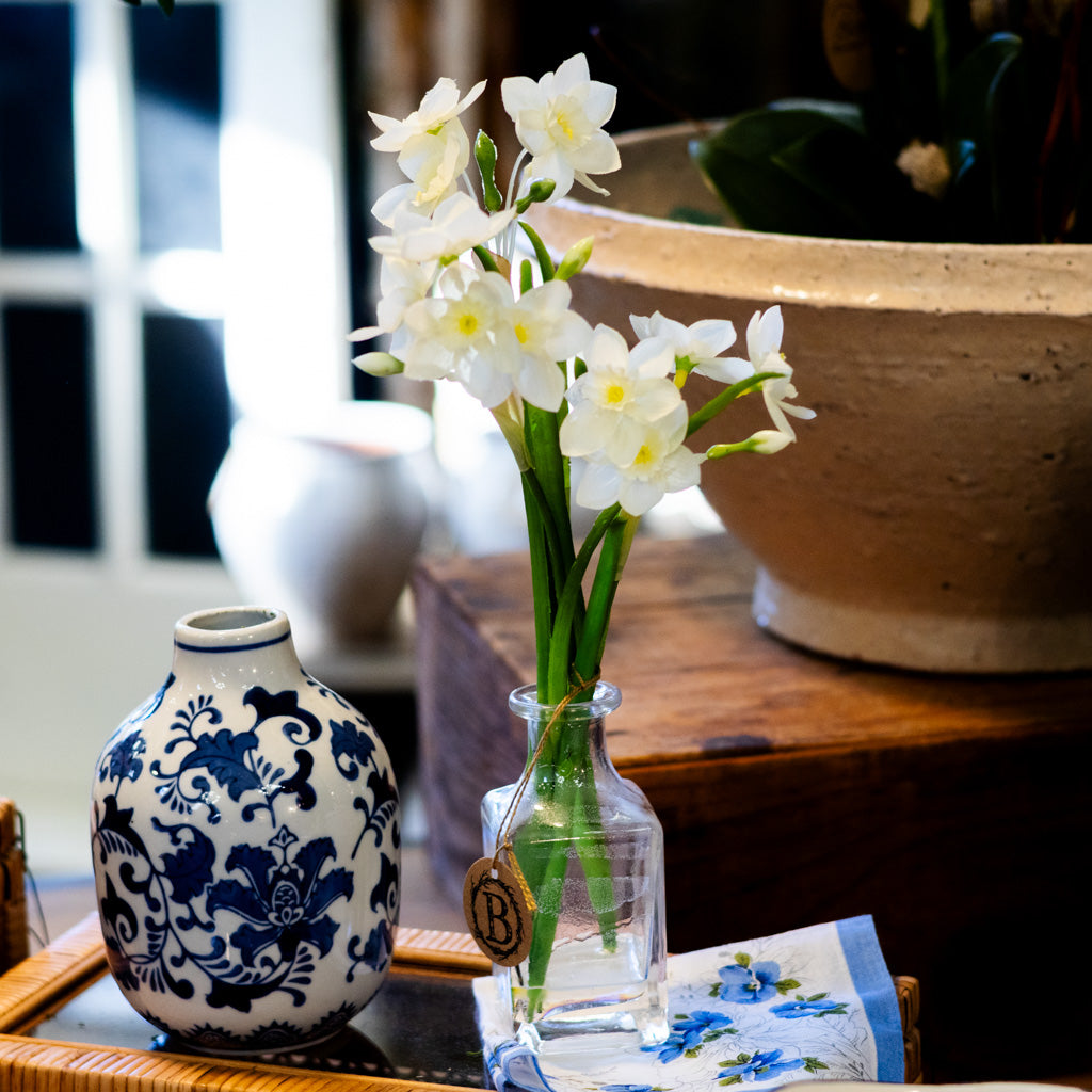 Paperwhite in Glass Vase