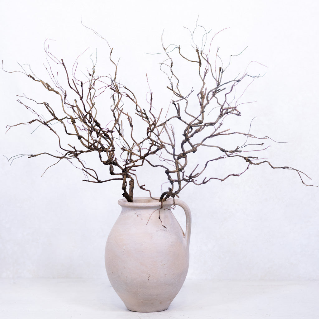 Twig Brown Spray