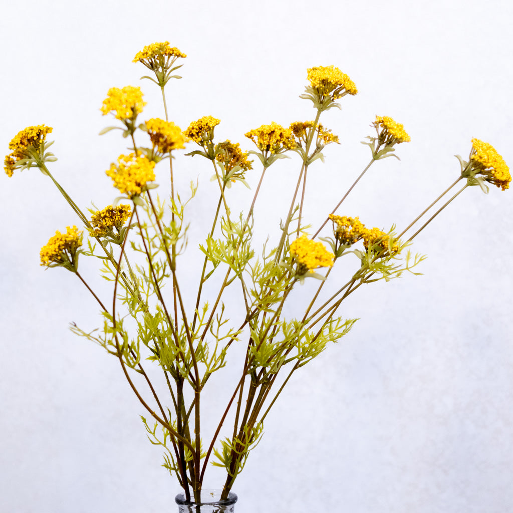 Wild Gold Yarrow Spray