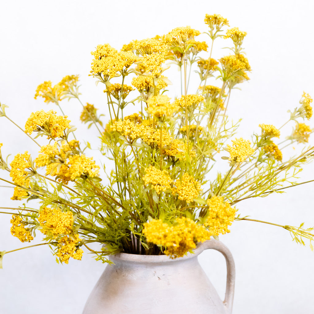 Wild Gold Yarrow Spray