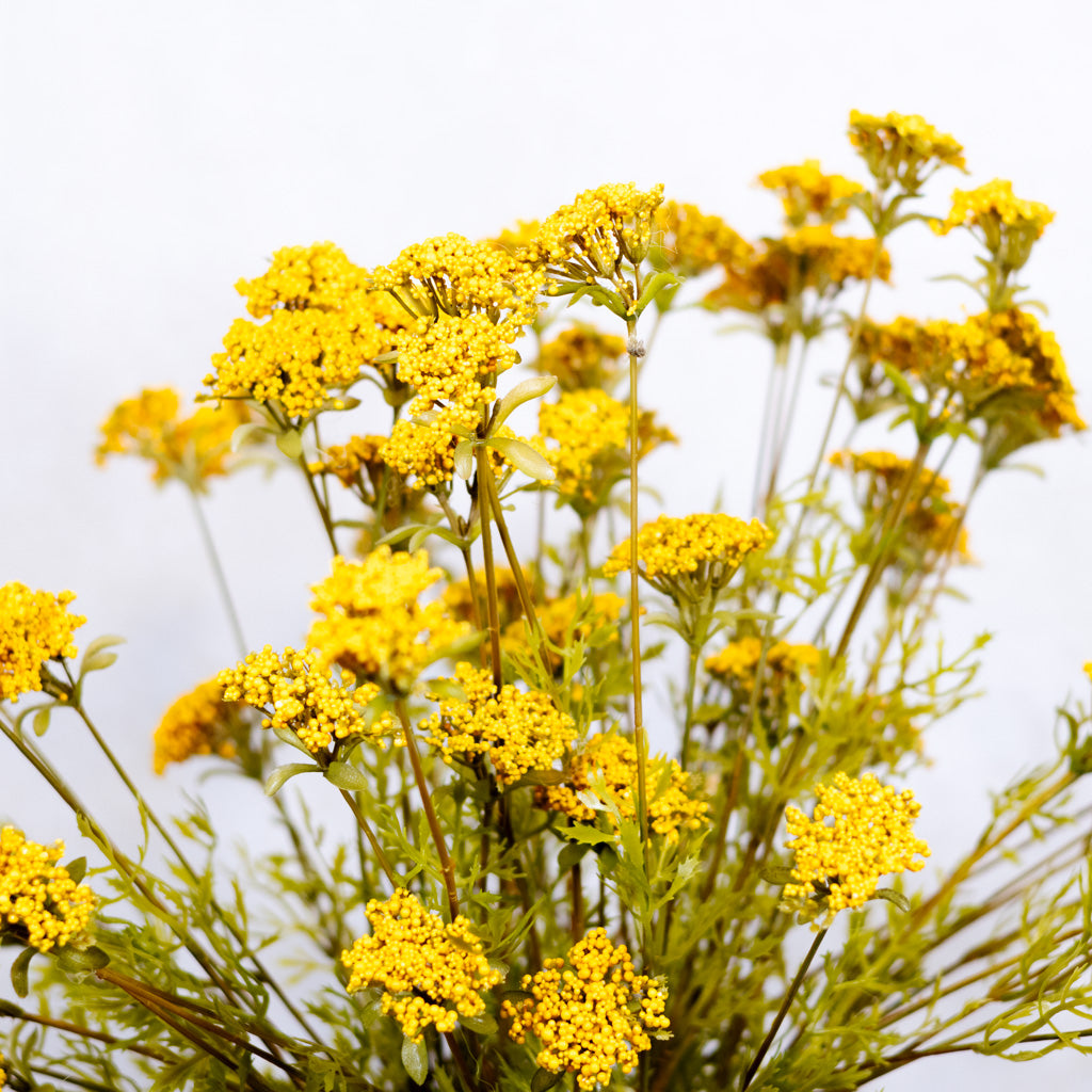 Wild Gold Yarrow Spray
