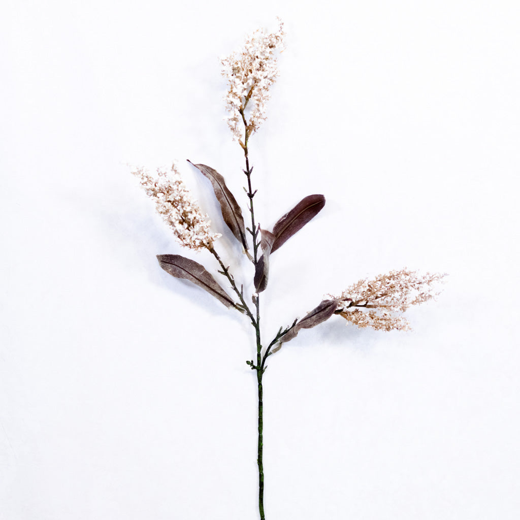 Heather Brown Stem