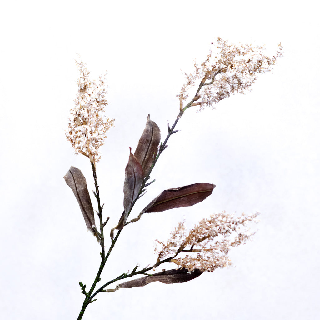 Heather Brown Stem