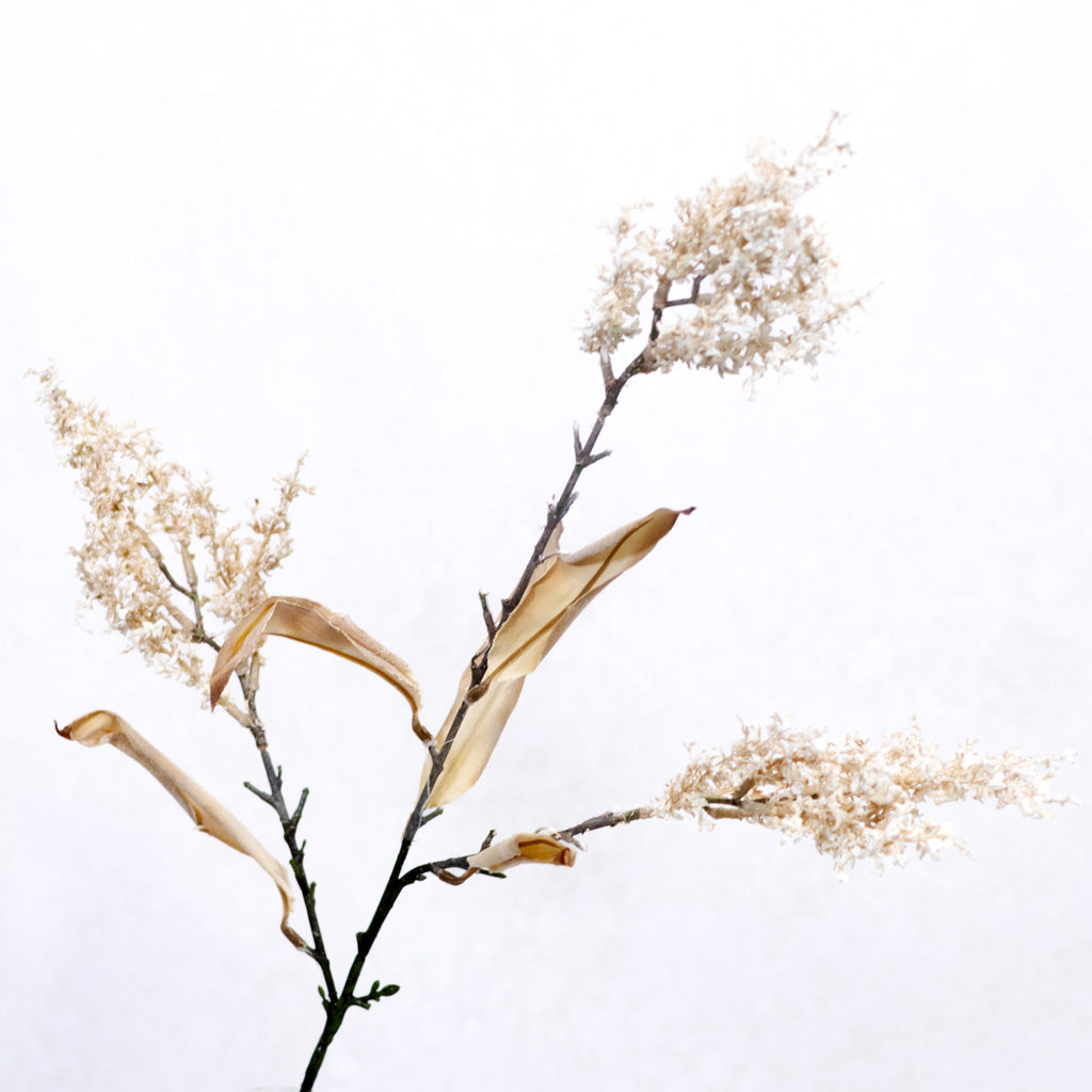 Heather Cream Stem
