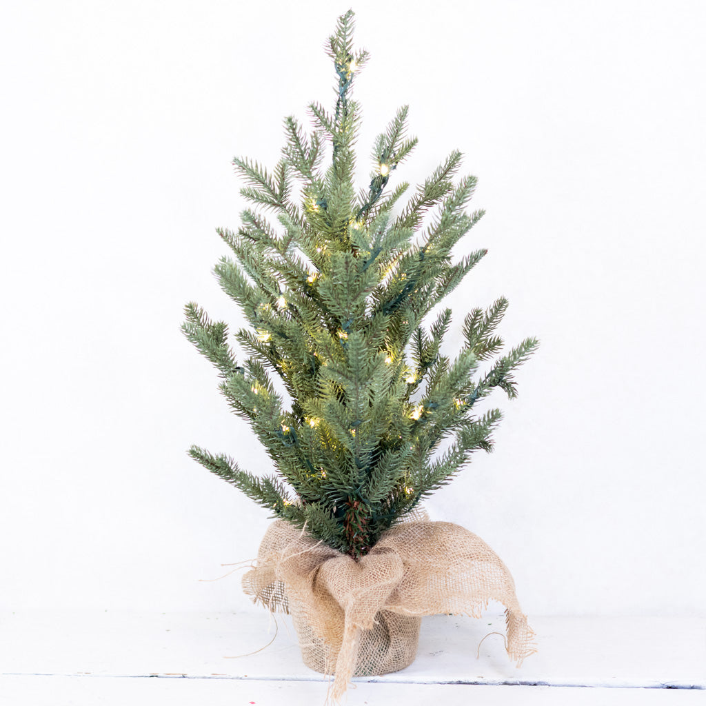 2 ft.  Pre Lit Spruce Tree in Potted Burlap
