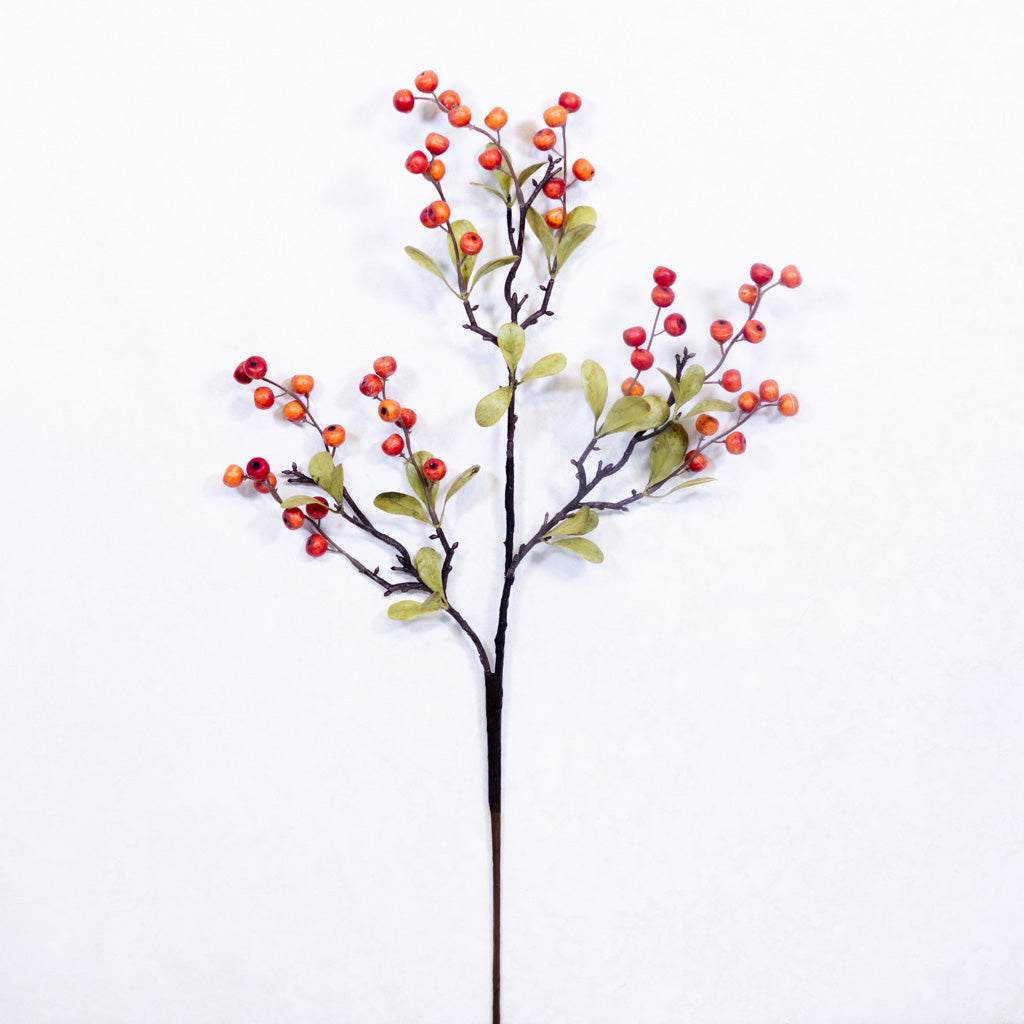 Berry Spray Orange with Leaves