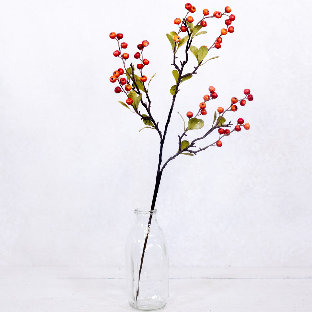 Berry Spray Orange with Leaves