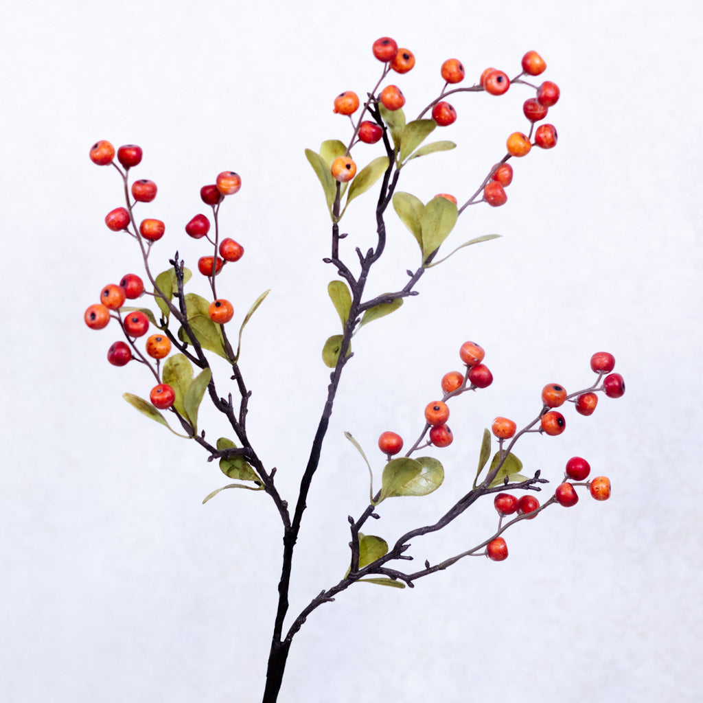 Berry Spray Orange with Leaves