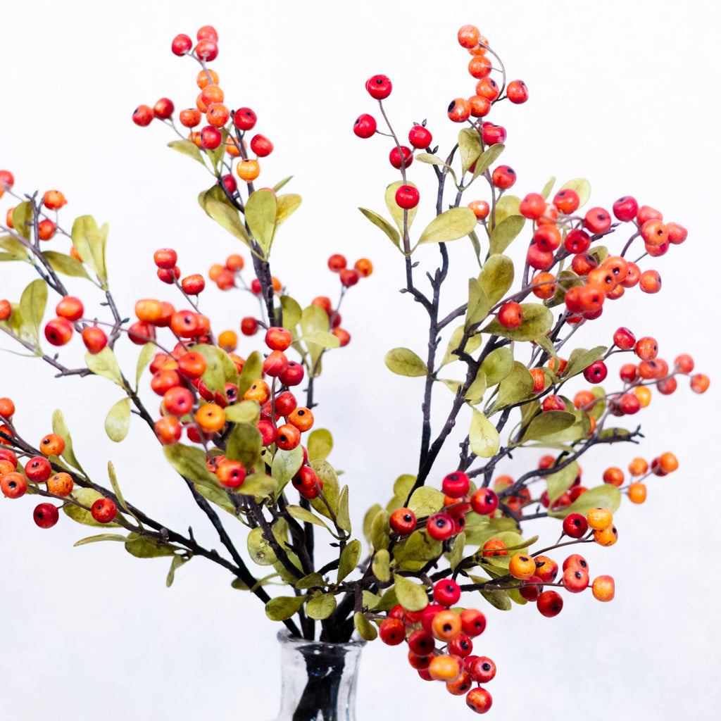 Berry Spray Orange with Leaves