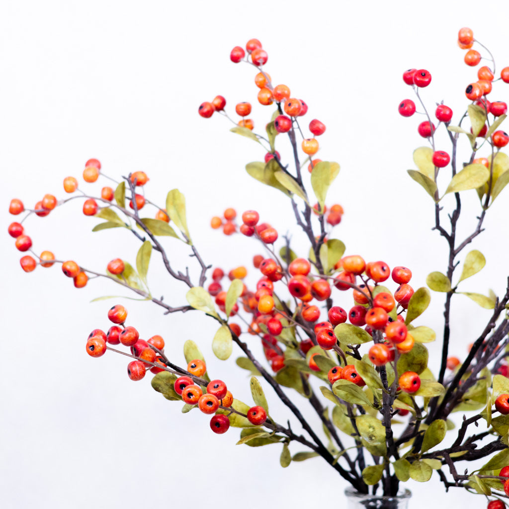 Berry Spray Orange with Leaves
