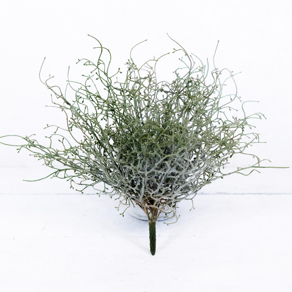 Green Budding Bush