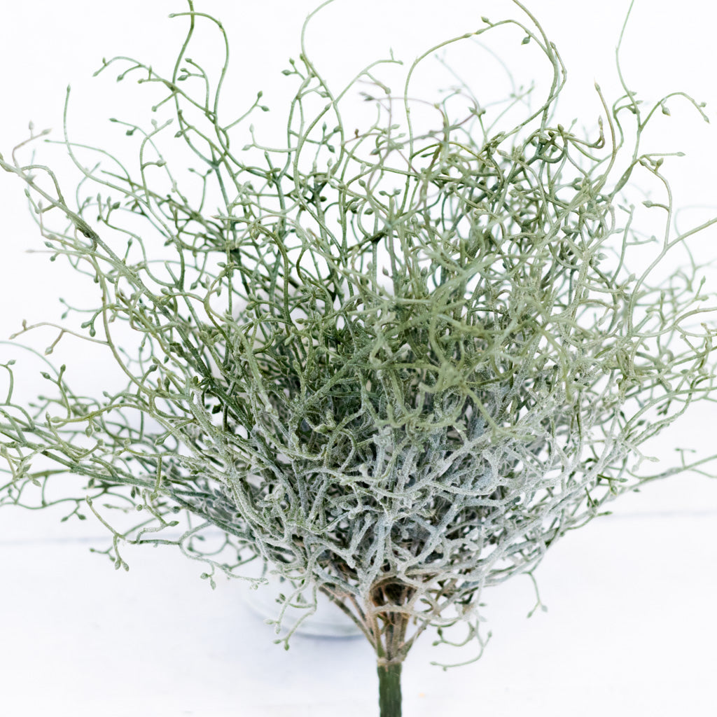 Green Budding Bush