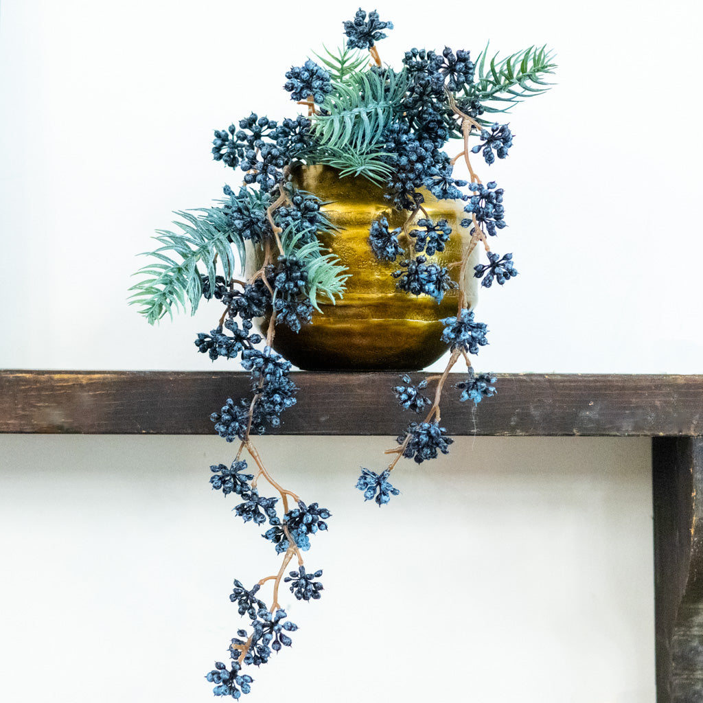 Spruce and Mini Blue Berry Pick