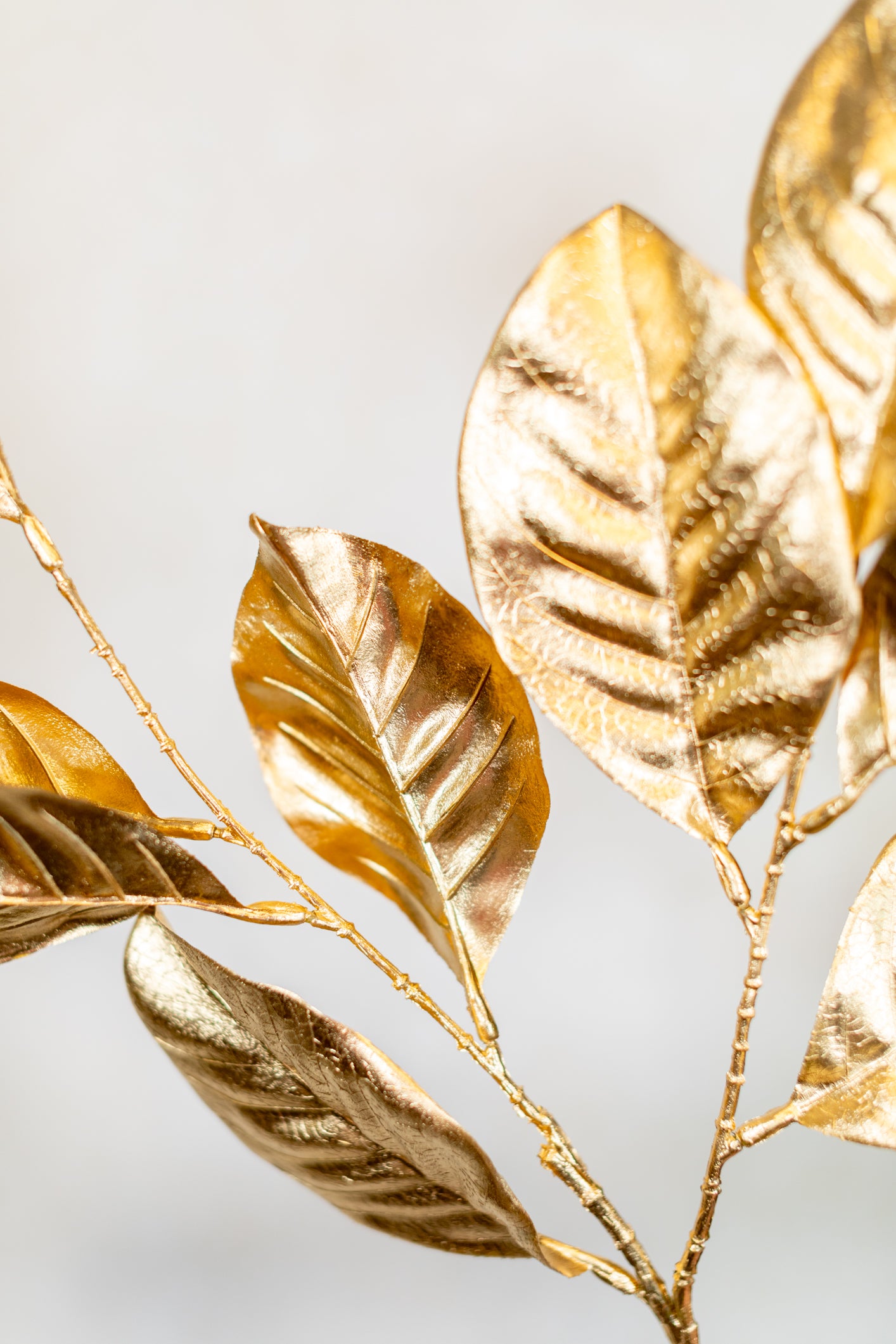 Magnolia Leaf Spray Gold