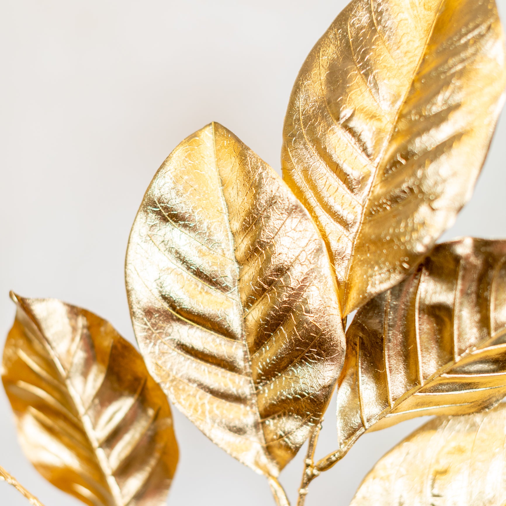 Magnolia Leaf Spray Gold