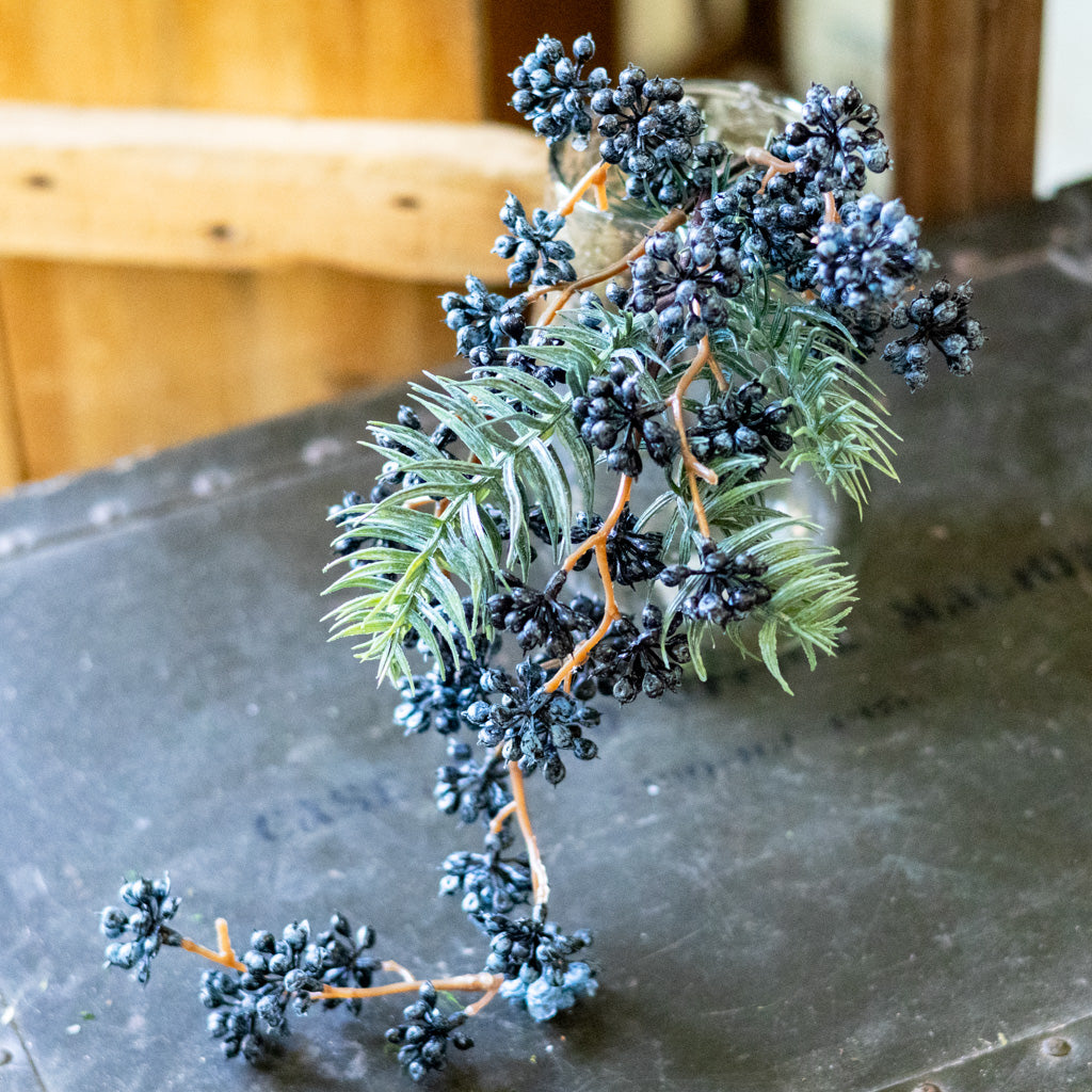 Spruce and Mini Blue Berry Pick