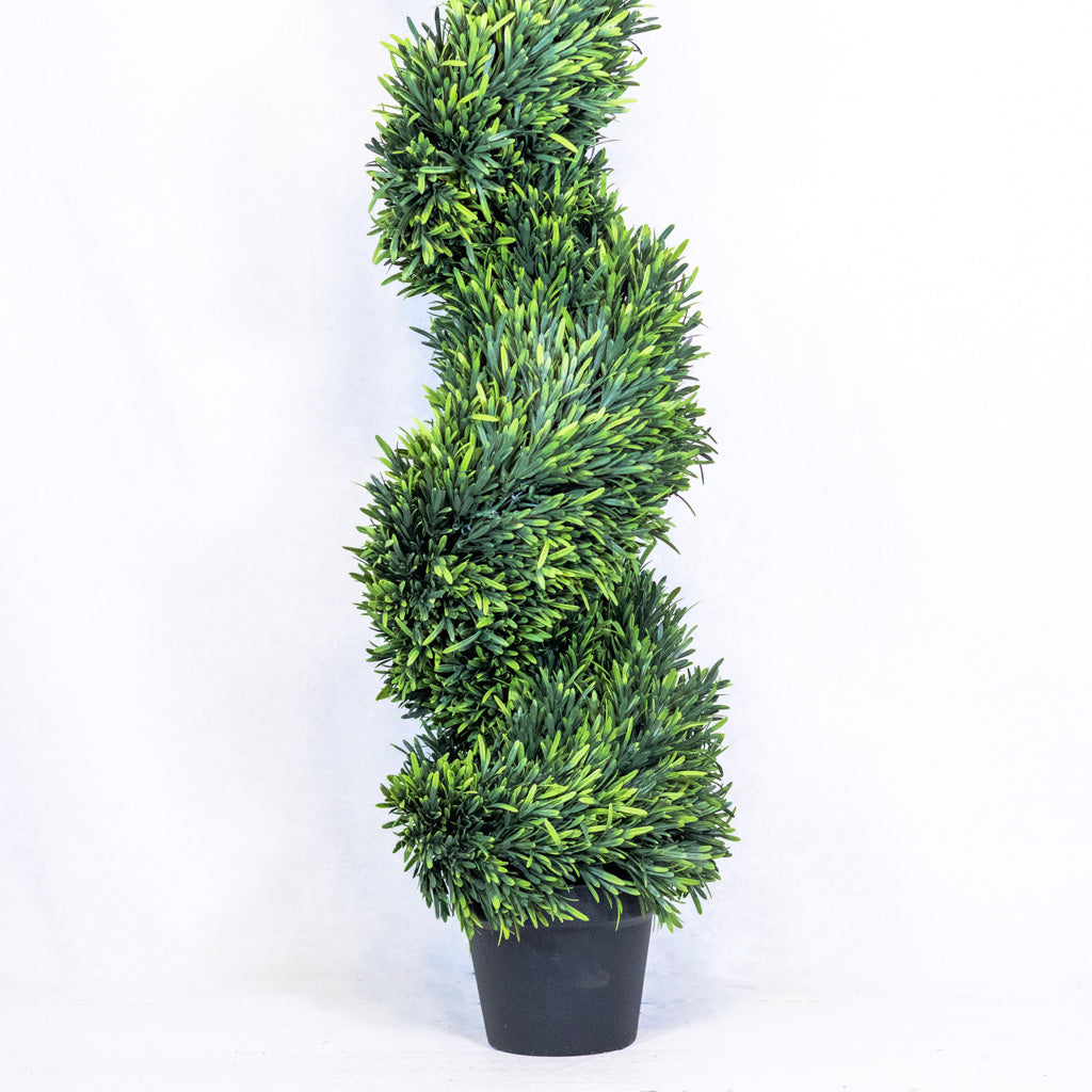 UV Rosemary Spiral Tree in Pot 4 ft