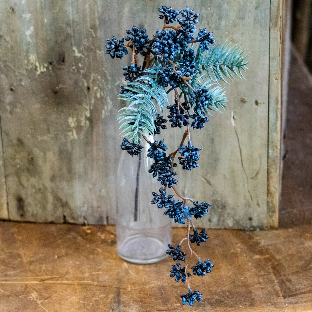 Spruce and Mini Blue Berry Pick