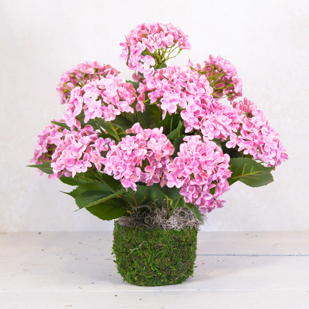 Triple Pink Hydrangea Plant Drop In