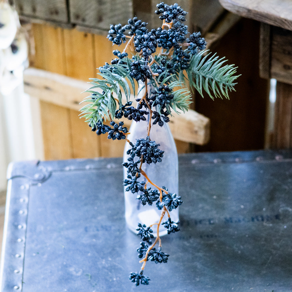 Spruce and Mini Blue Berry Pick